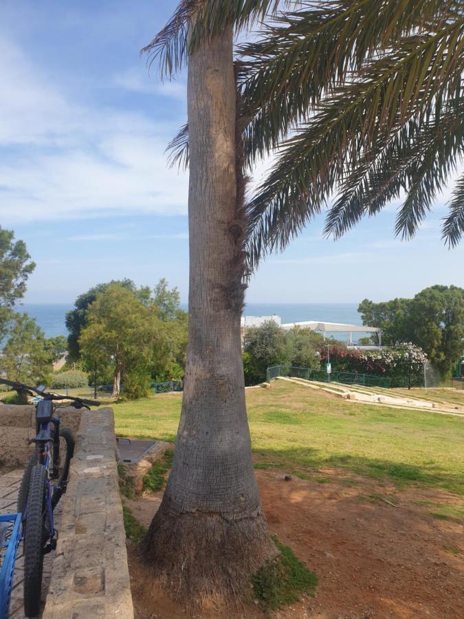 Luxury Studio At The Heart Of Old Jaffa 텔아비브 외부 사진
