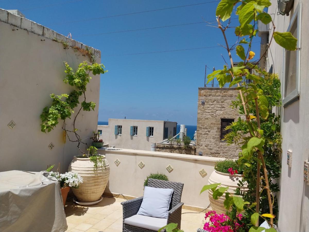 Luxury Studio At The Heart Of Old Jaffa 텔아비브 외부 사진