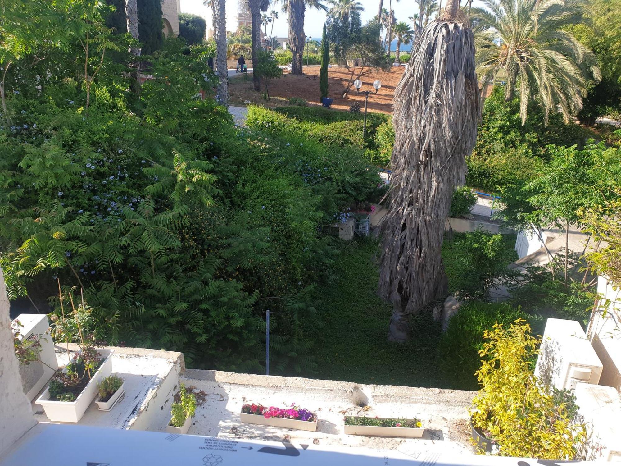 Luxury Studio At The Heart Of Old Jaffa 텔아비브 외부 사진